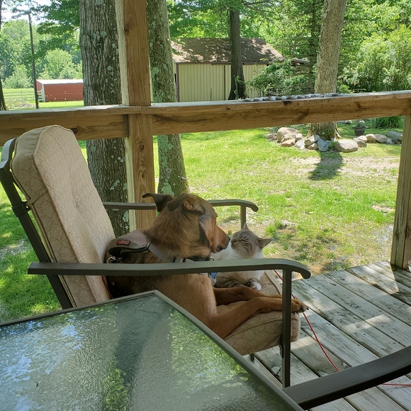 Welcome to my closet! - Picture 6 of 8